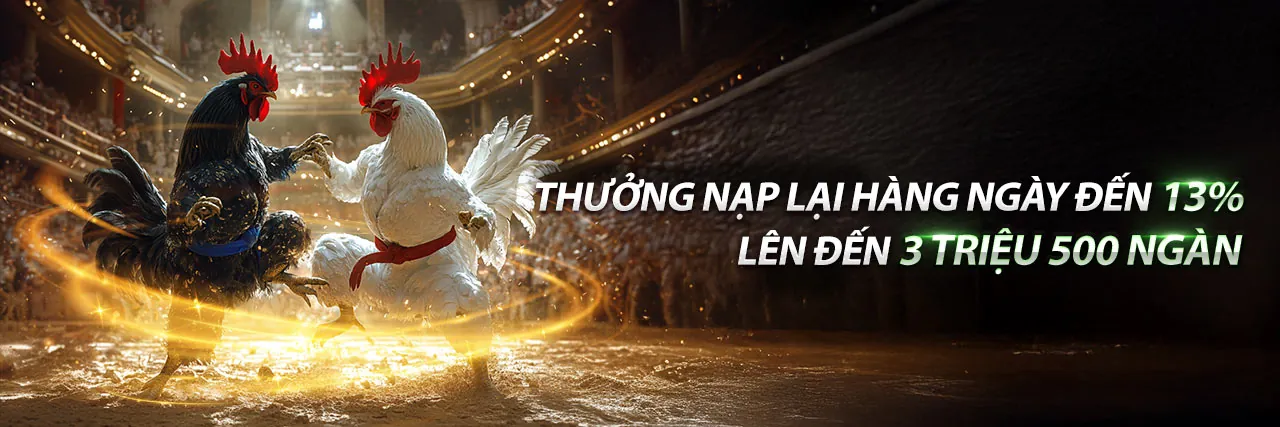 Cá cược thể thao l88