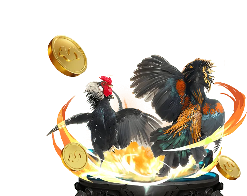 Chơi game bài có trách nhiệm